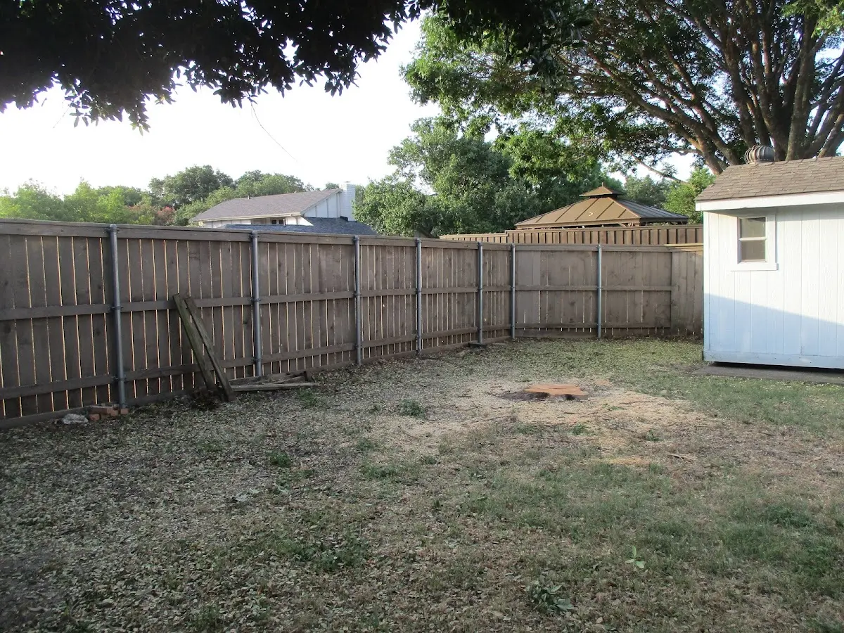 Cleared yard after professional tree removal in Lame Deer